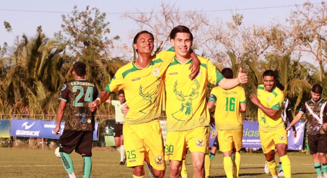 19feec04-c2c5-40cf-bbfc-3db4b504f0d5