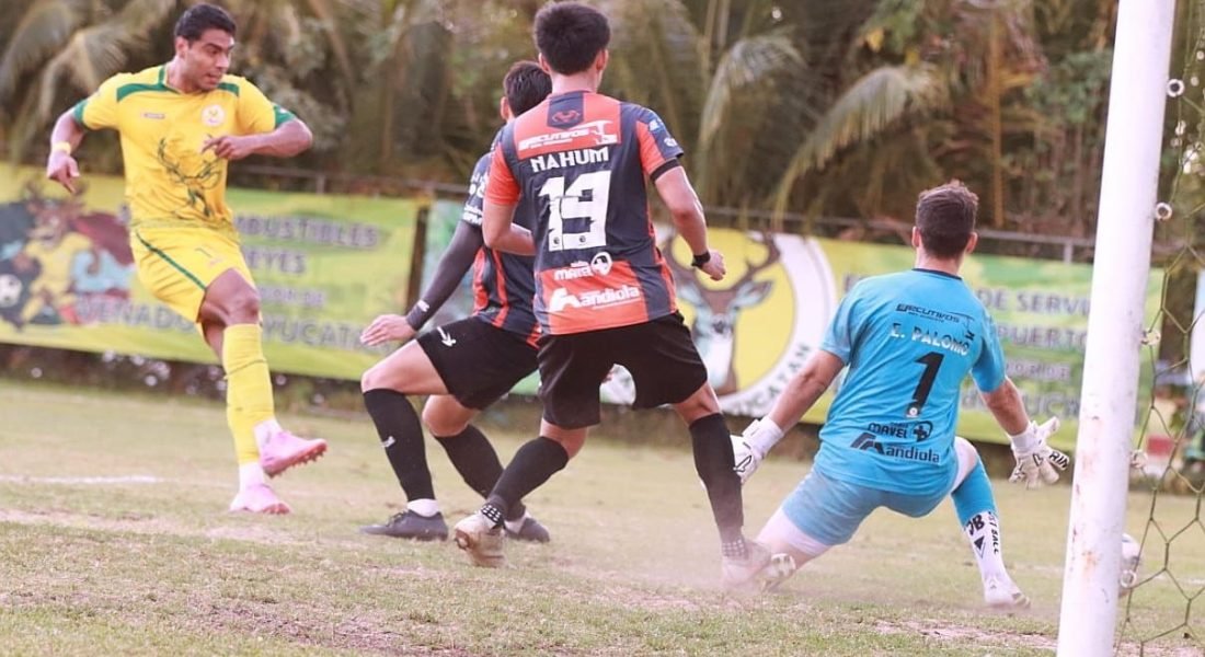 4c6c0921-1b94-40f4-a893-15cd29c72342