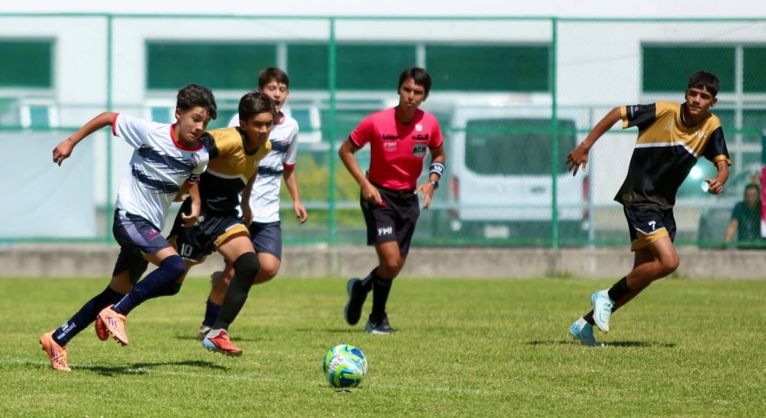 8f452fdf-4de8-459b-9dcf-3bcf4ef3f7a2 (1)