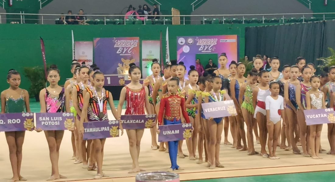 94cd90fd-c3a7-40f6-be44-110a5f6669d7